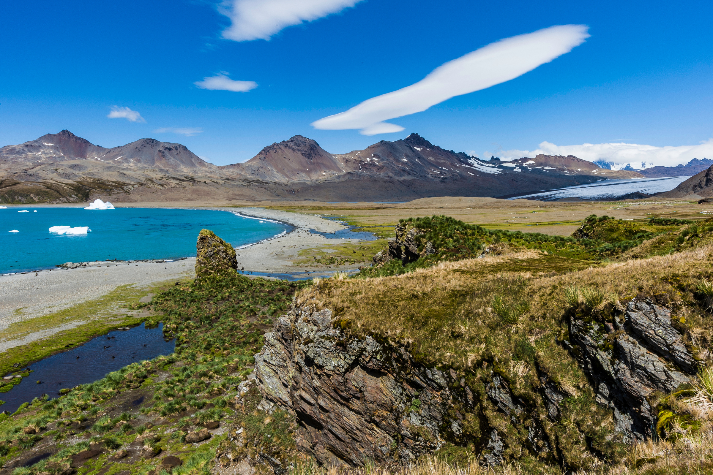 fortuna bay, south georgia.webp